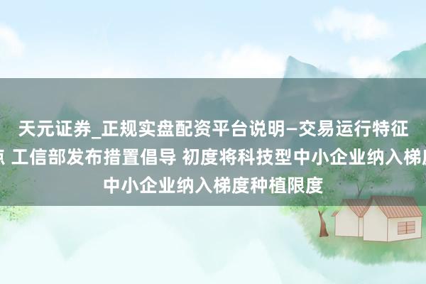 天元证券_正规实盘配资平台说明—交易运行特征与参考要点 工信部发布措置倡导 初度将科技型中小企业纳入梯度种植限度