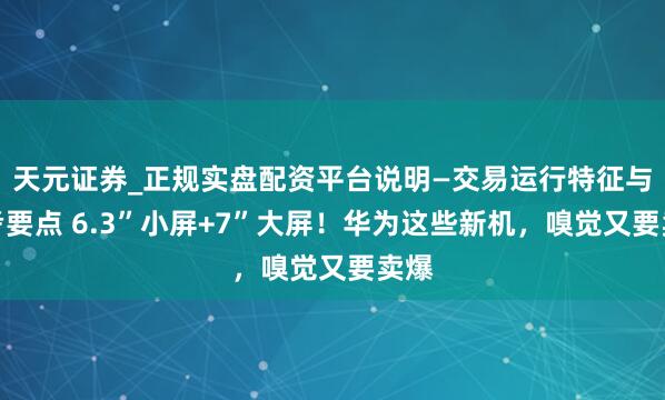 天元证券_正规实盘配资平台说明—交易运行特征与参考要点 6.3”小屏+7”大屏！华为这些新机，嗅觉又要卖爆